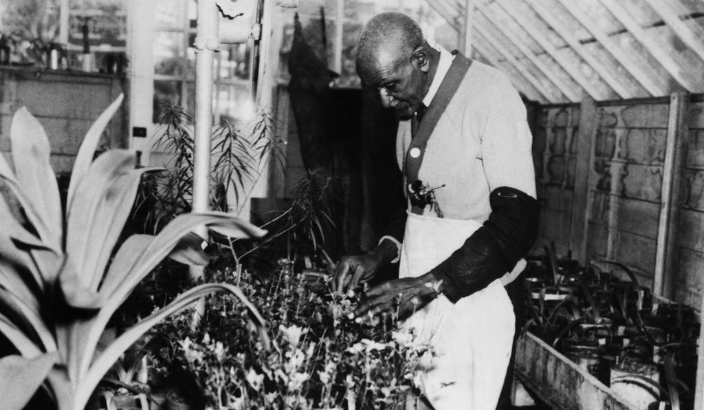 CAAM | World Without End: The George Washington Carver Project