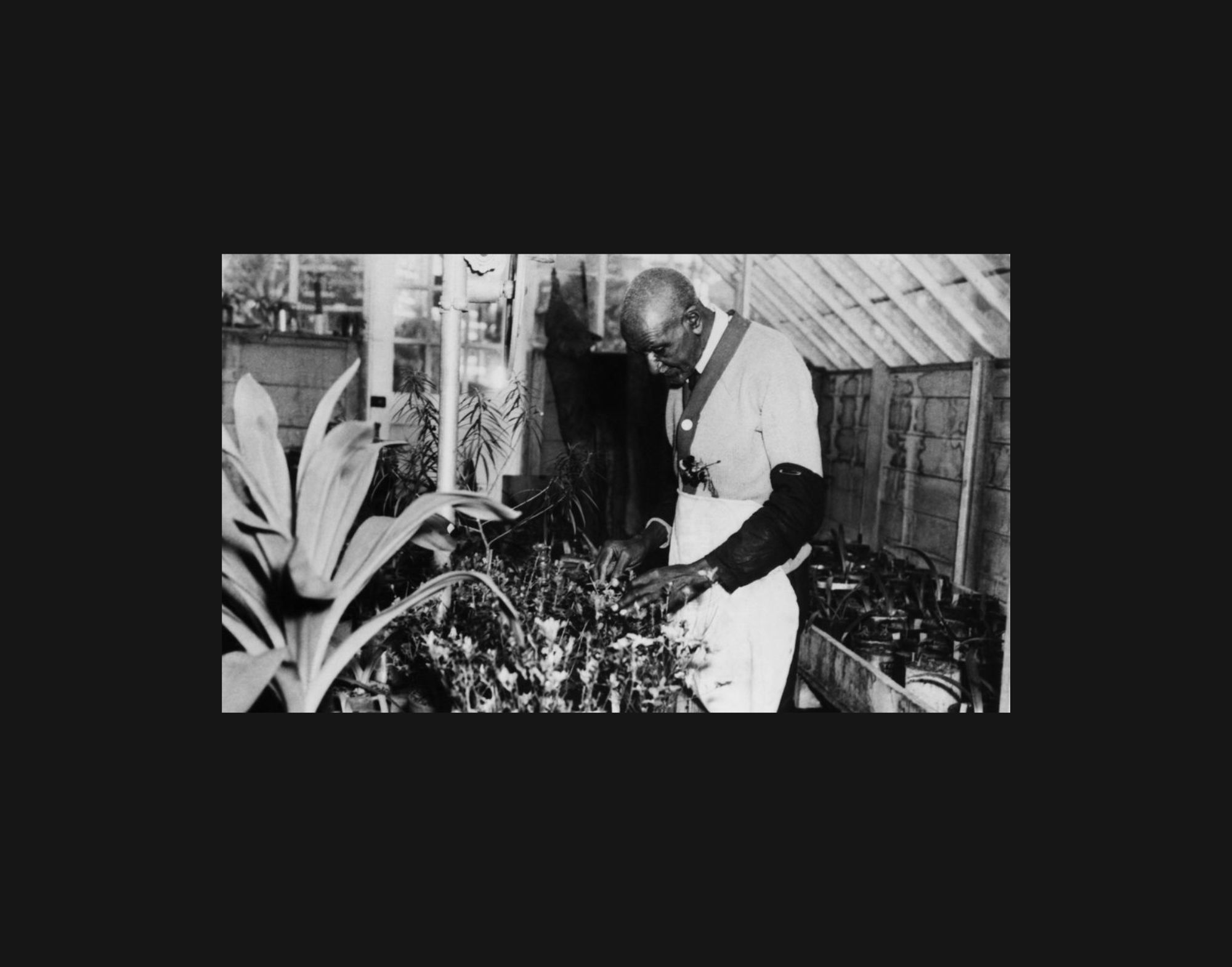 CAAM | Home